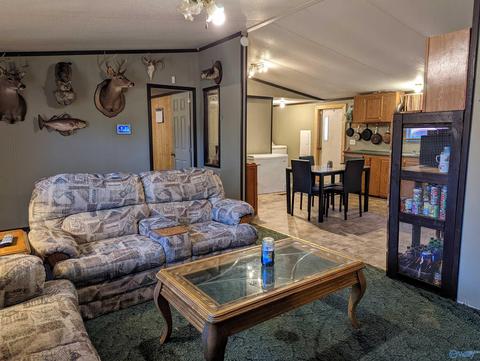 2425 Pope Ave, Steele, AL 35987 photo 11