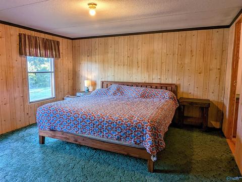 2425 Pope Ave, Steele, AL 35987 photo 13
