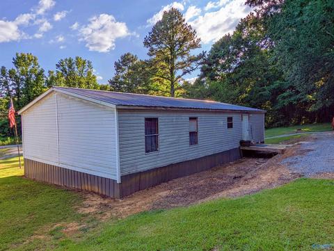 2425 Pope Ave, Steele, AL 35987 photo 6