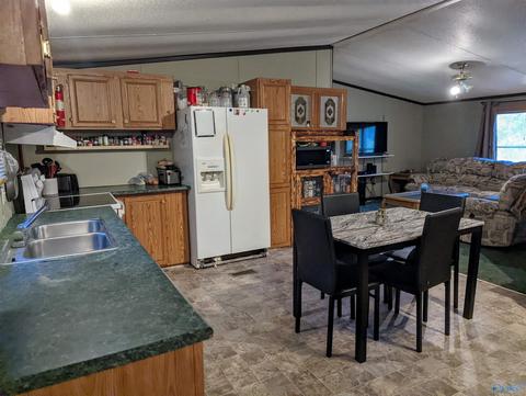 2425 Pope Ave, Steele, AL 35987 photo 8