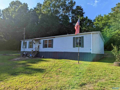 2425 Pope Ave, Steele, AL 35987 photo 2