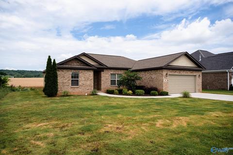 86 Owensby Way, Trinity, AL 35673 photo 3