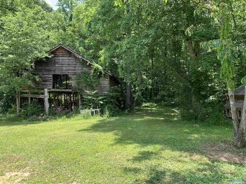 730 Walker Rd, Grant, AL 35747 photo 43