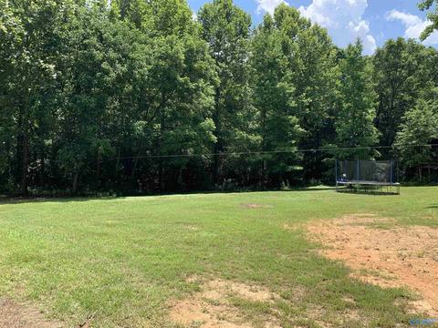 730 Walker Rd, Grant, AL 35747 photo 39