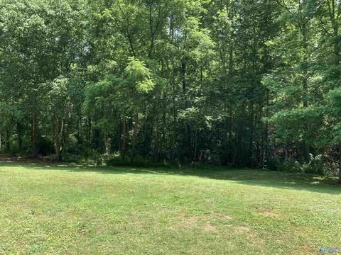 730 Walker Rd, Grant, AL 35747 photo 45