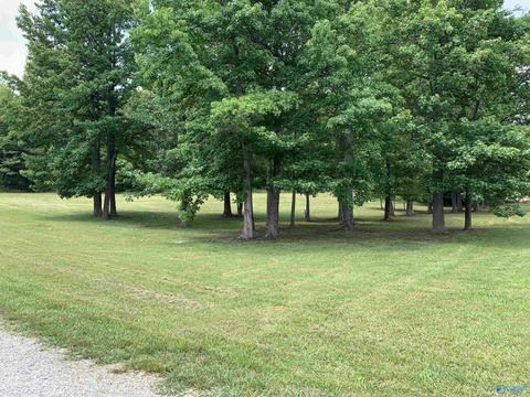 730 Walker Rd, Grant, AL 35747 photo 34