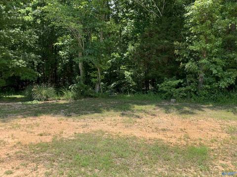 730 Walker Rd, Grant, AL 35747 photo 41