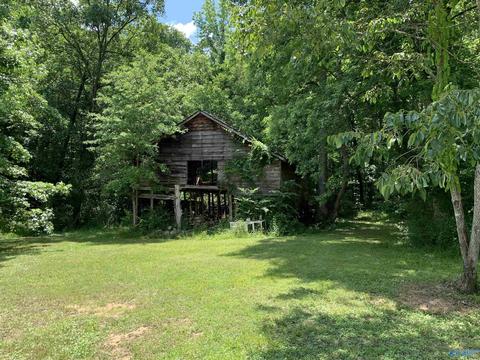 730 Walker Rd, Grant, AL 35747 photo 42