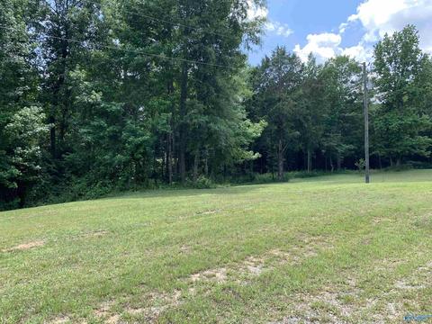 730 Walker Rd, Grant, AL 35747 photo 37