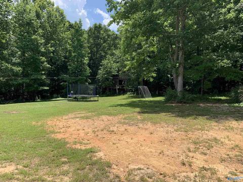 730 Walker Rd, Grant, AL 35747 photo 40