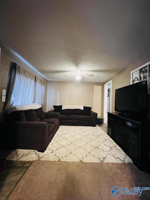 331 County Road 431, Trinity, AL 35673 photo 3