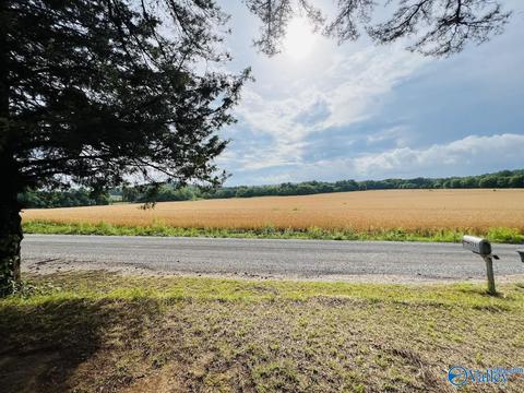 331 County Road 431, Trinity, AL 35673 photo 19