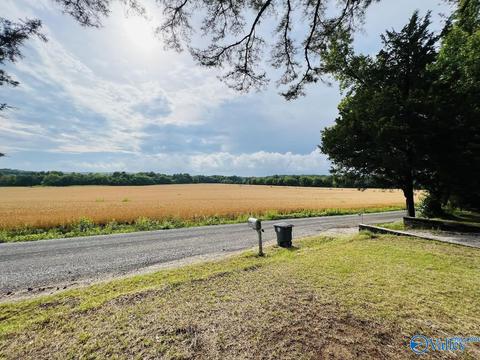 331 County Road 431, Trinity, AL 35673 photo 20