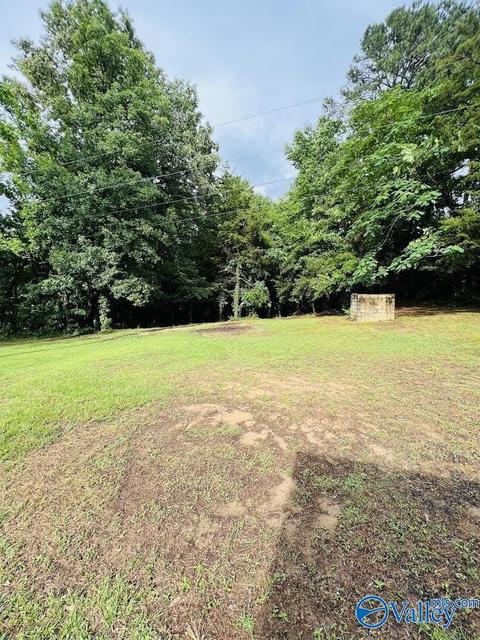 331 County Road 431, Trinity, AL 35673 photo 18