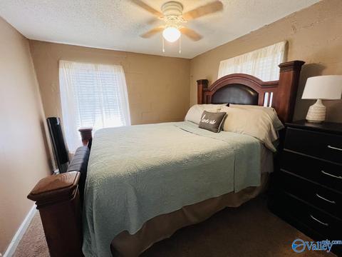 331 County Road 431, Trinity, AL 35673 photo 8