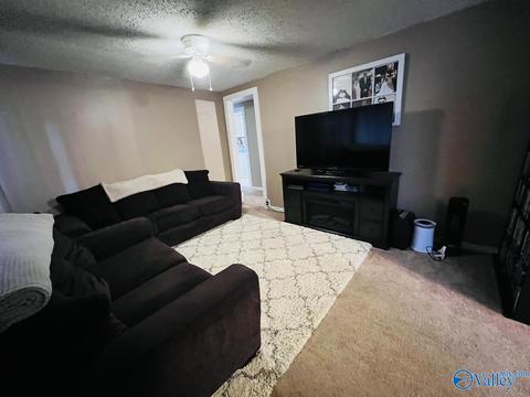 331 County Road 431, Trinity, AL 35673 photo 2