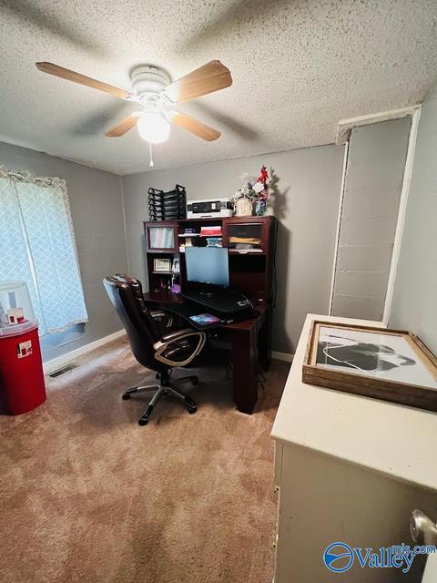 331 County Road 431, Trinity, AL 35673 photo 9