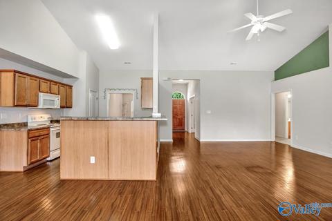 106 Barrister Pl, Madison, AL 35758 photo 12