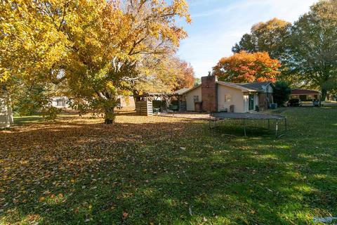 1101 Pine St, Killen, AL 35645 photo 24