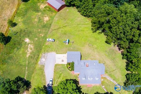 6989 County Road 19, Section, AL 35771 photo 39