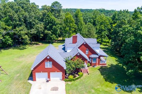 6989 County Road 19, Section, AL 35771 photo 6