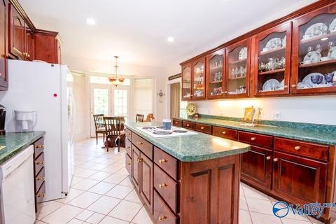 6989 County Road 19, Section, AL 35771 photo 9