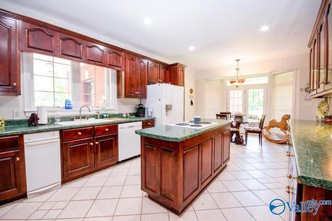 6989 County Road 19, Section, AL 35771 photo 8