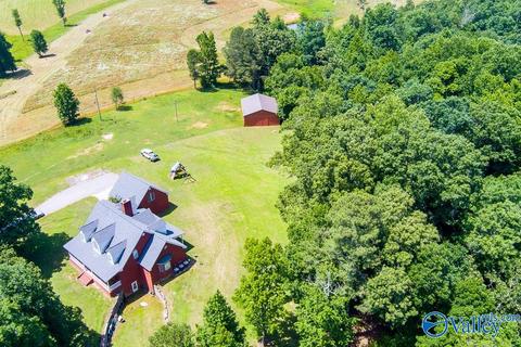 6989 County Road 19, Section, AL 35771 photo 5