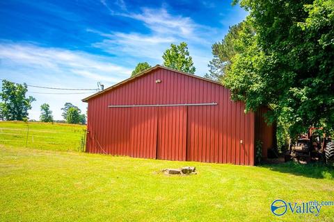 6989 County Road 19, Section, AL 35771 photo 4