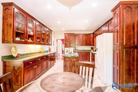 6989 County Road 19, Section, AL 35771 photo 7