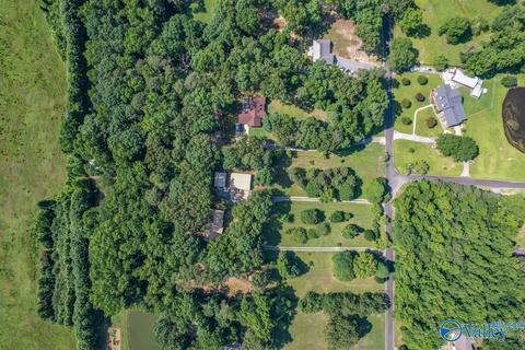 377 Widgren Dr, Arab, AL 35016 photo 5
