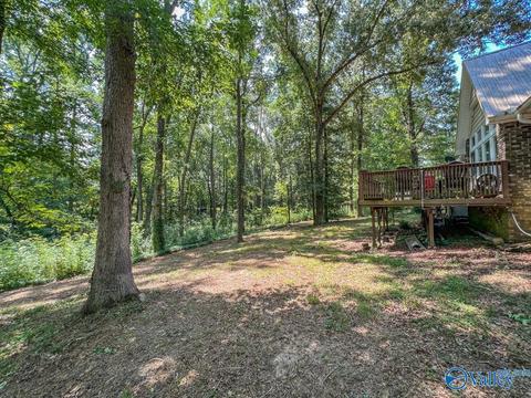 377 Widgren Dr, Arab, AL 35016 photo 29