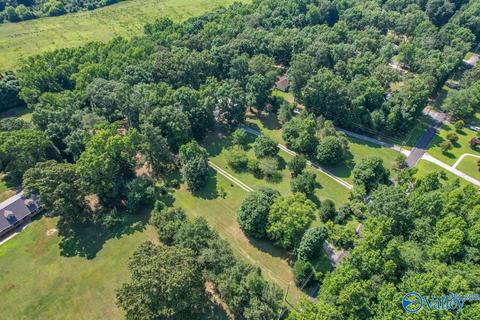 377 Widgren Dr, Arab, AL 35016 photo 4