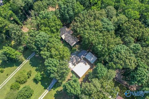 377 Widgren Dr, Arab, AL 35016 photo 1