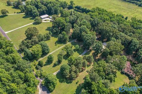 377 Widgren Dr, Arab, AL 35016 photo 3