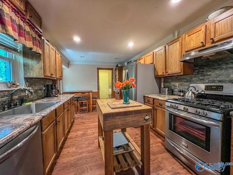377 Widgren Dr, Arab, AL 35016 photo 15