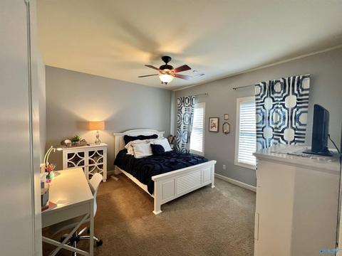 100 County Road 470, Trinity, AL 35673 photo 20