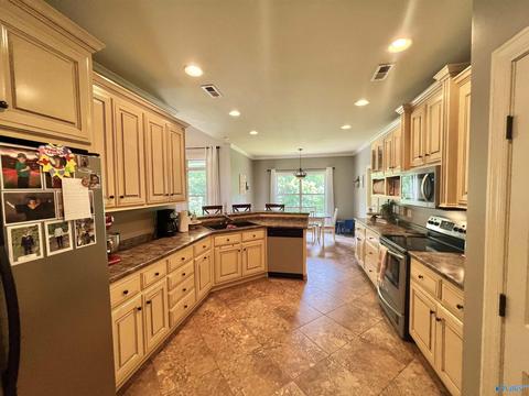 100 County Road 470, Trinity, AL 35673 photo 10
