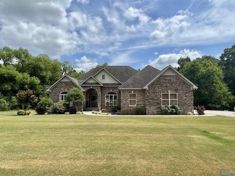 100 County Road 470, Trinity, AL 35673 photo 1