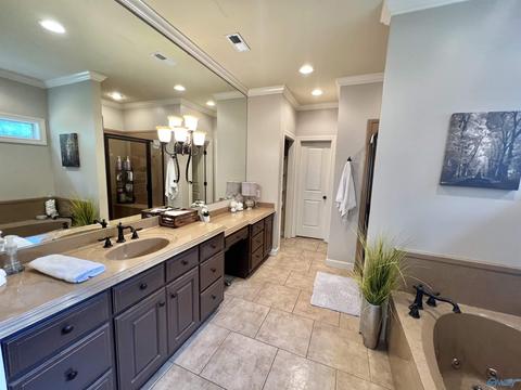 100 County Road 470, Trinity, AL 35673 photo 16