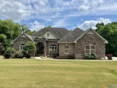 100 County Road 470, Trinity, AL 35673 photo 27