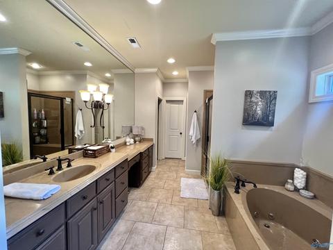 100 County Road 470, Trinity, AL 35673 photo 15