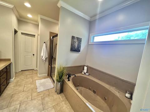 100 County Road 470, Trinity, AL 35673 photo 17