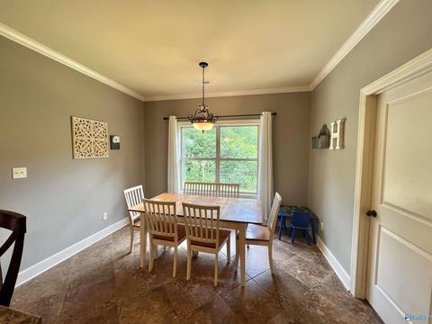 100 County Road 470, Trinity, AL 35673 photo 23