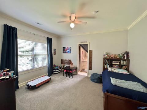 100 County Road 470, Trinity, AL 35673 photo 18
