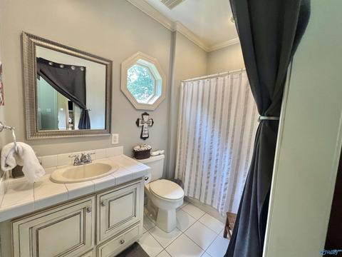 100 County Road 470, Trinity, AL 35673 photo 19