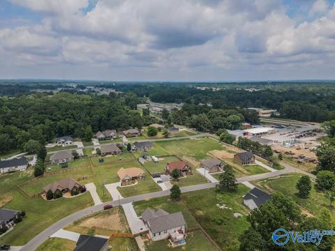 643 Crestman Dr, Arab, AL 35016 photo 6