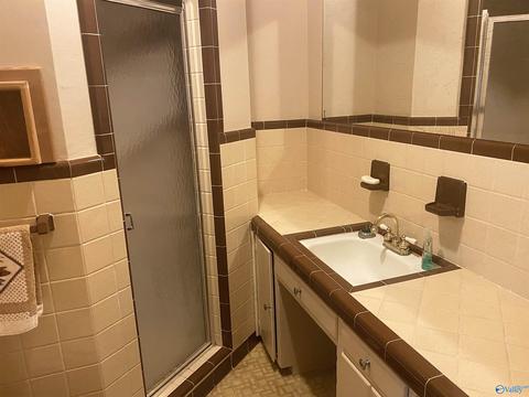 652 County Road 386, Trinity, AL 35673 photo 18