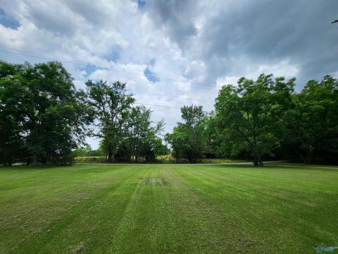 652 County Road 386, Trinity, AL 35673 photo 32