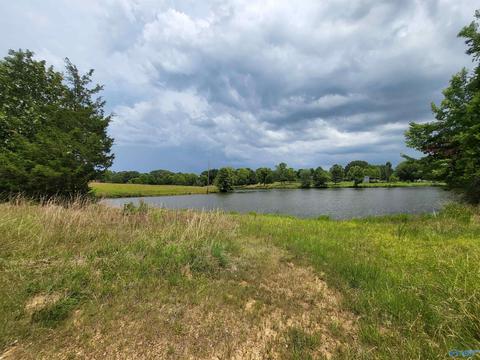 652 County Road 386, Trinity, AL 35673 photo 39